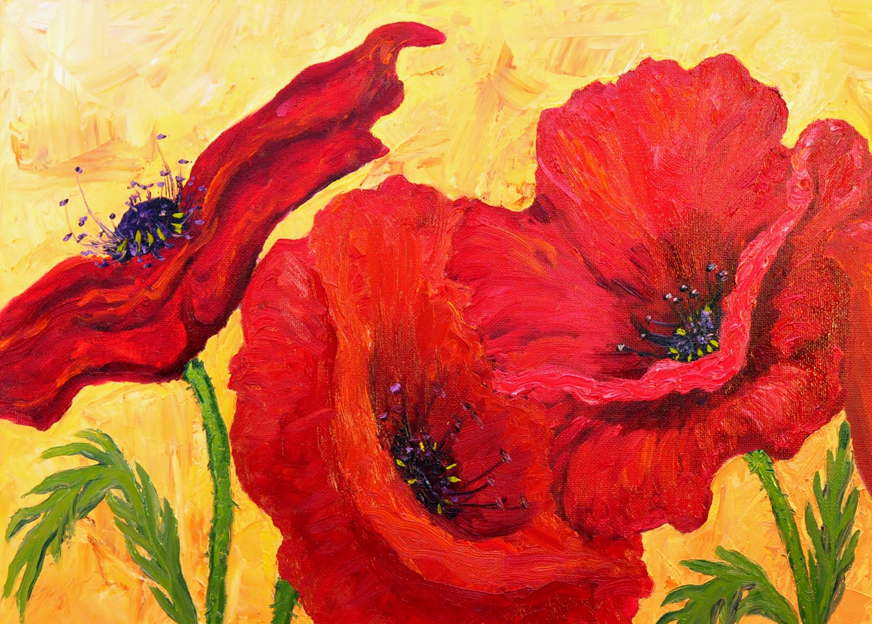 cropped-completed-poppies-in-oilcroppedforcard-2dsc_5495.jpg